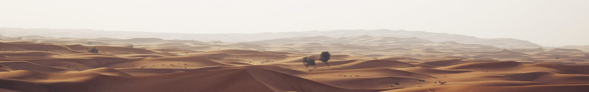 ŰƵ޹˾
